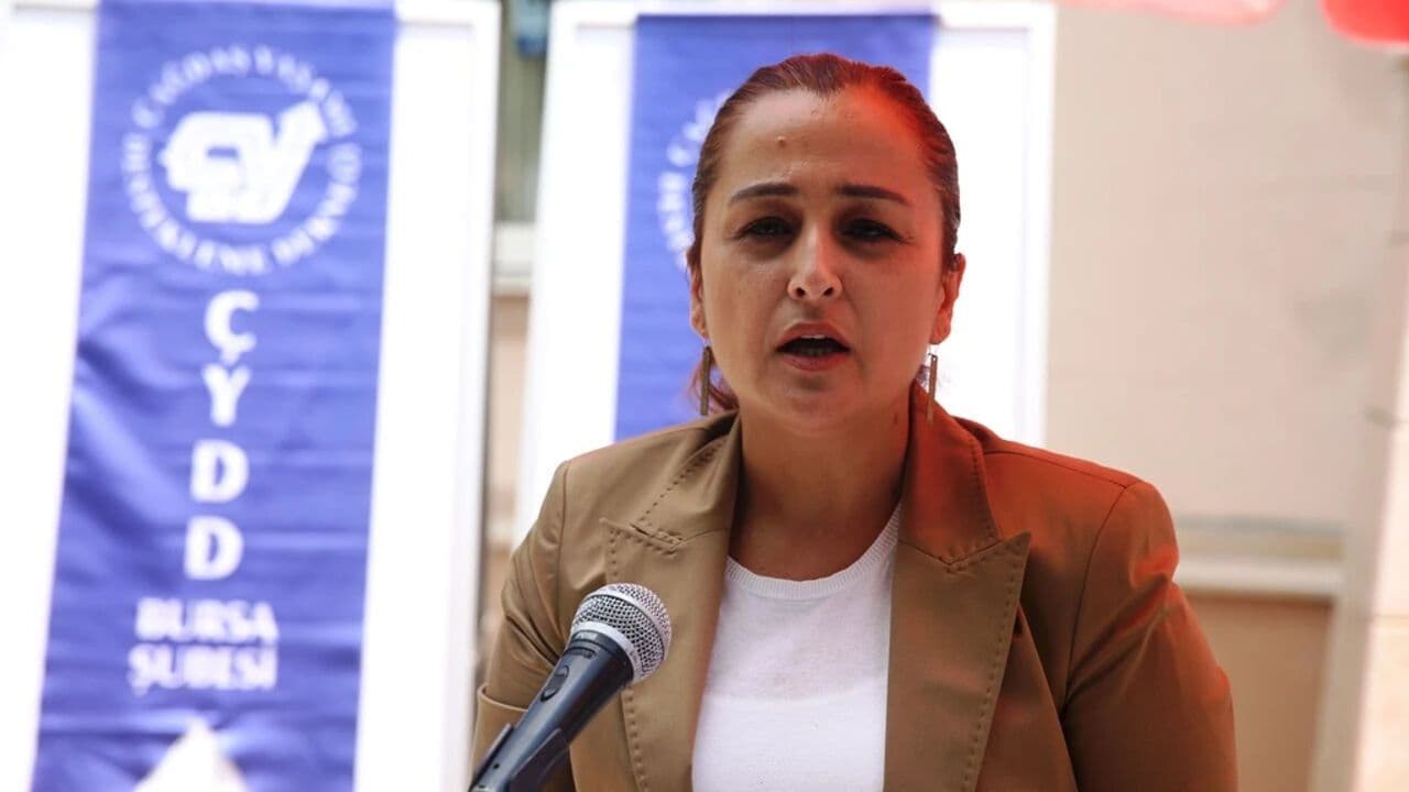 Ayşegül Erkol
